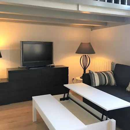 Renove Pres Du Centre Et De La Avec Parking Et Mezzanine - Fr-1-4-594 Apartment