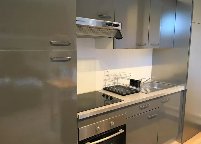 Lägenhet Renove Pres Du Centre Et De La Avec Parking Et Mezzanine - Fr-1-4-594 Saint-Jean-de-Luz