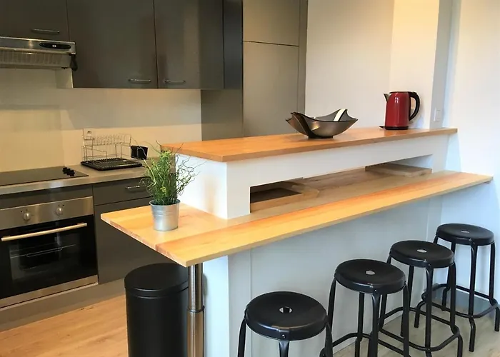 Renove Pres Du Centre Et De La Avec Parking Et Mezzanine - Fr-1-4-594 Lägenhet *